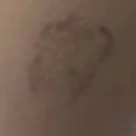 Tatuaje Andrea Garte -quinta sesión brazo